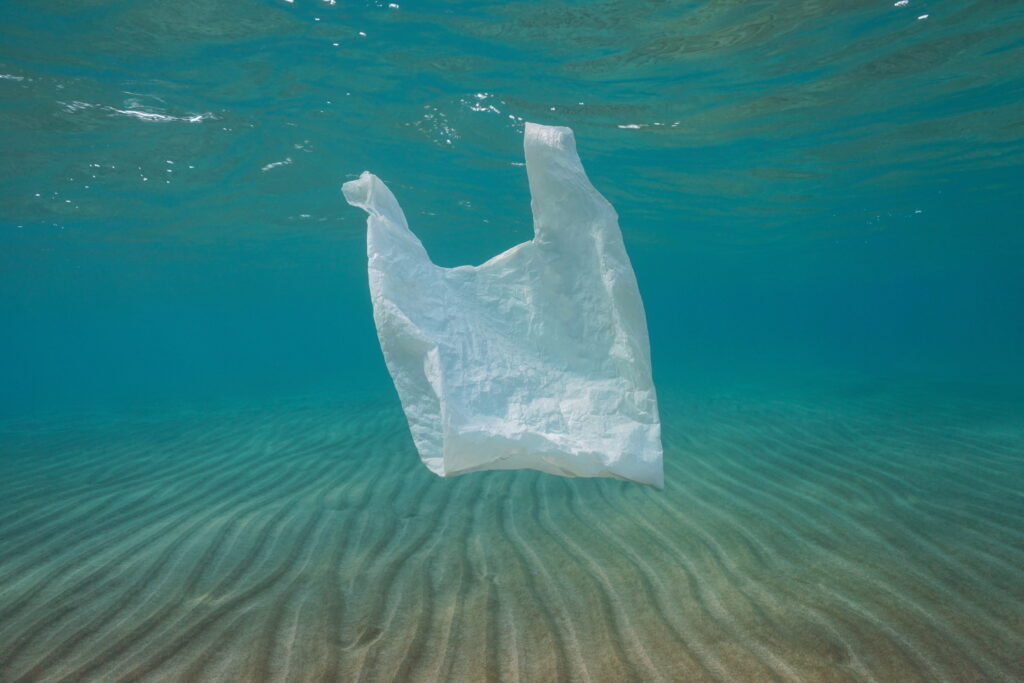 Plastic bag in the ocean